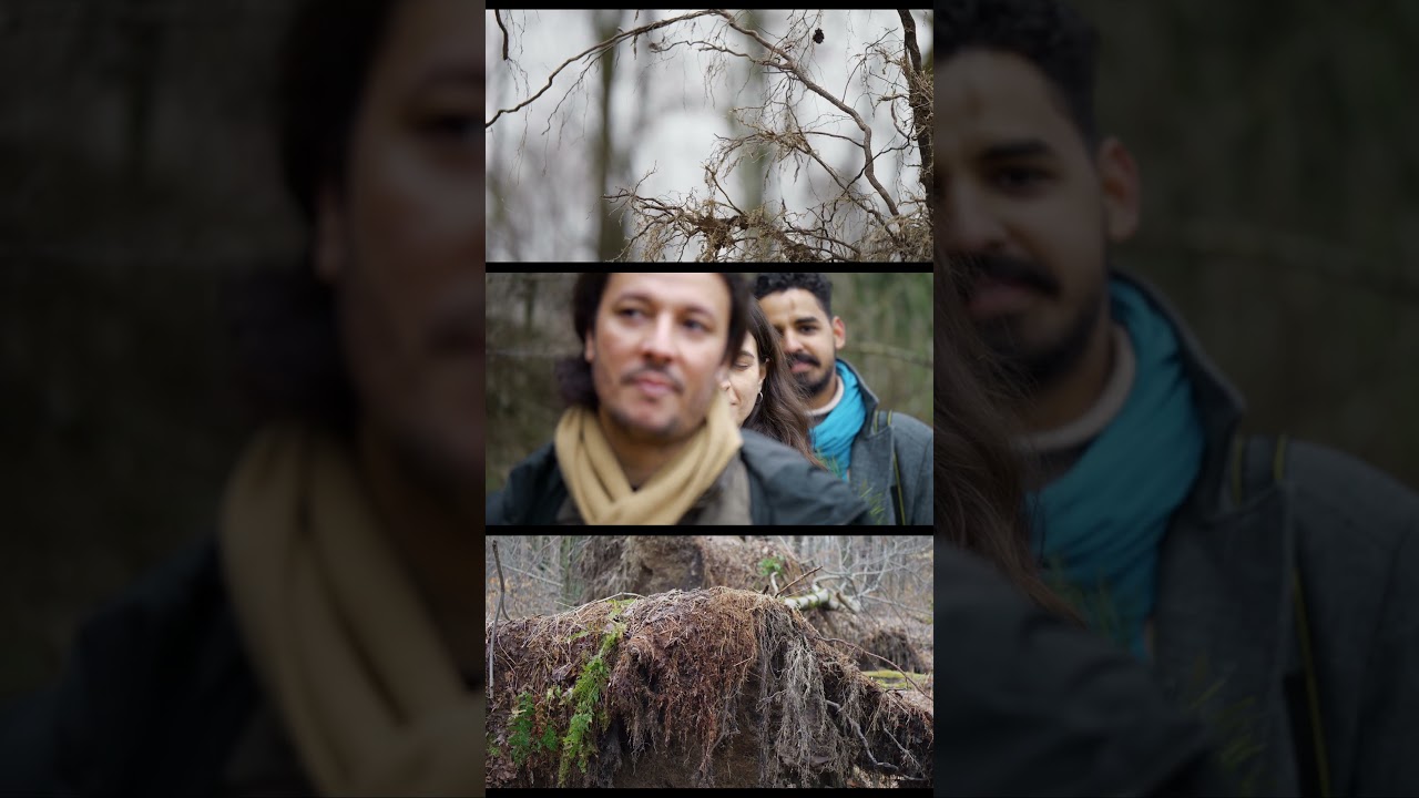 Forest Explorers