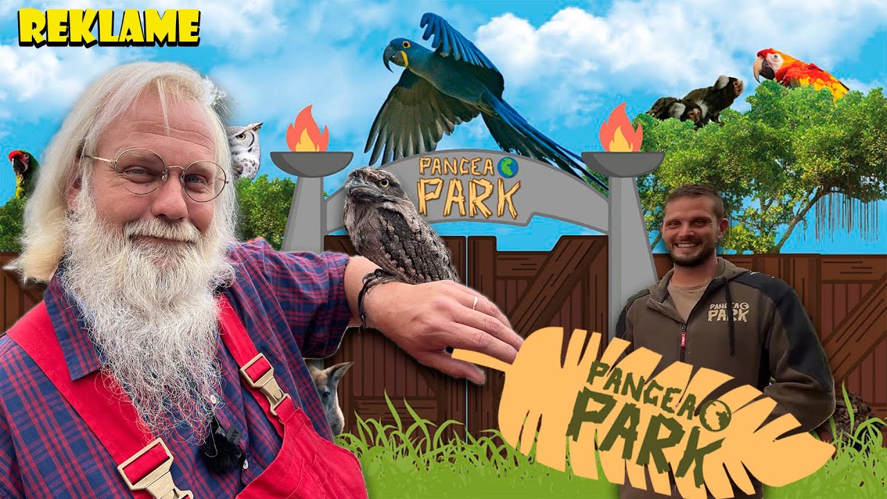 JULEMANDEN I PANGEA PARK | JULEMAND PÅ TUR | JULLE OPLEVER DANMARK
