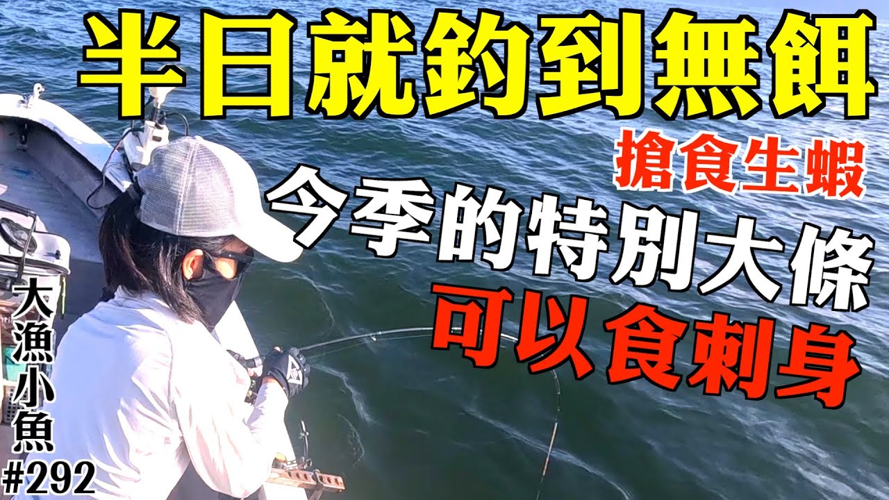 釣半日就用完12両生蝦仔，魚肯開口勁搶食 ┃晨早出發啱流水┃今季的魚特別大，可以回家做刺身┃生蝦篇┃刺身┃大漁小魚