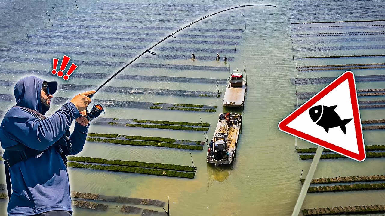 Ce spot de pêche incroyable est toujours autant rempli de poissons !