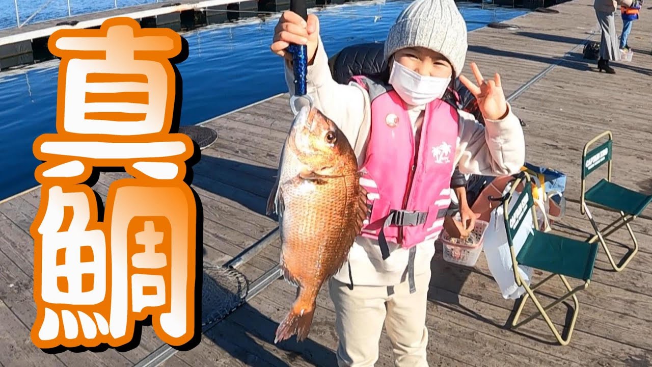 子供でも簡単に真鯛釣れちゃうんです♪【子供と釣り】