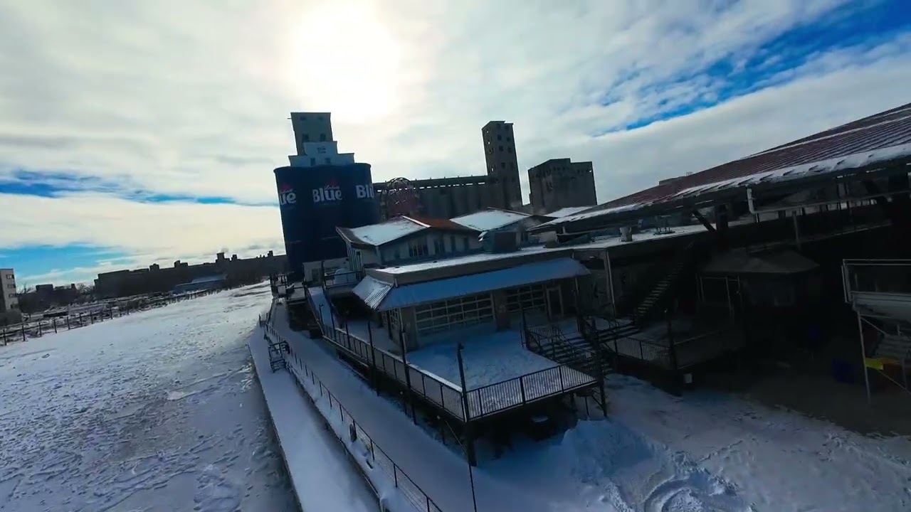 Buffalo Cold