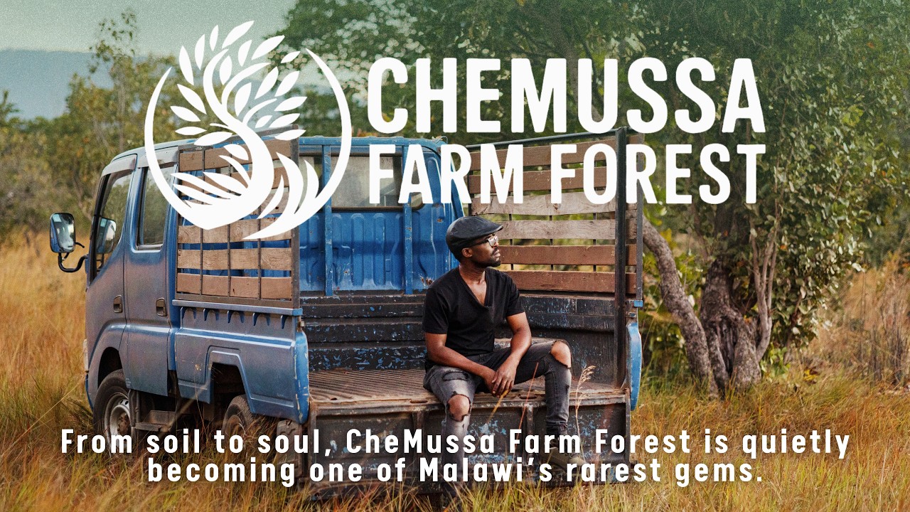 CHE MUSSA FARM 2026