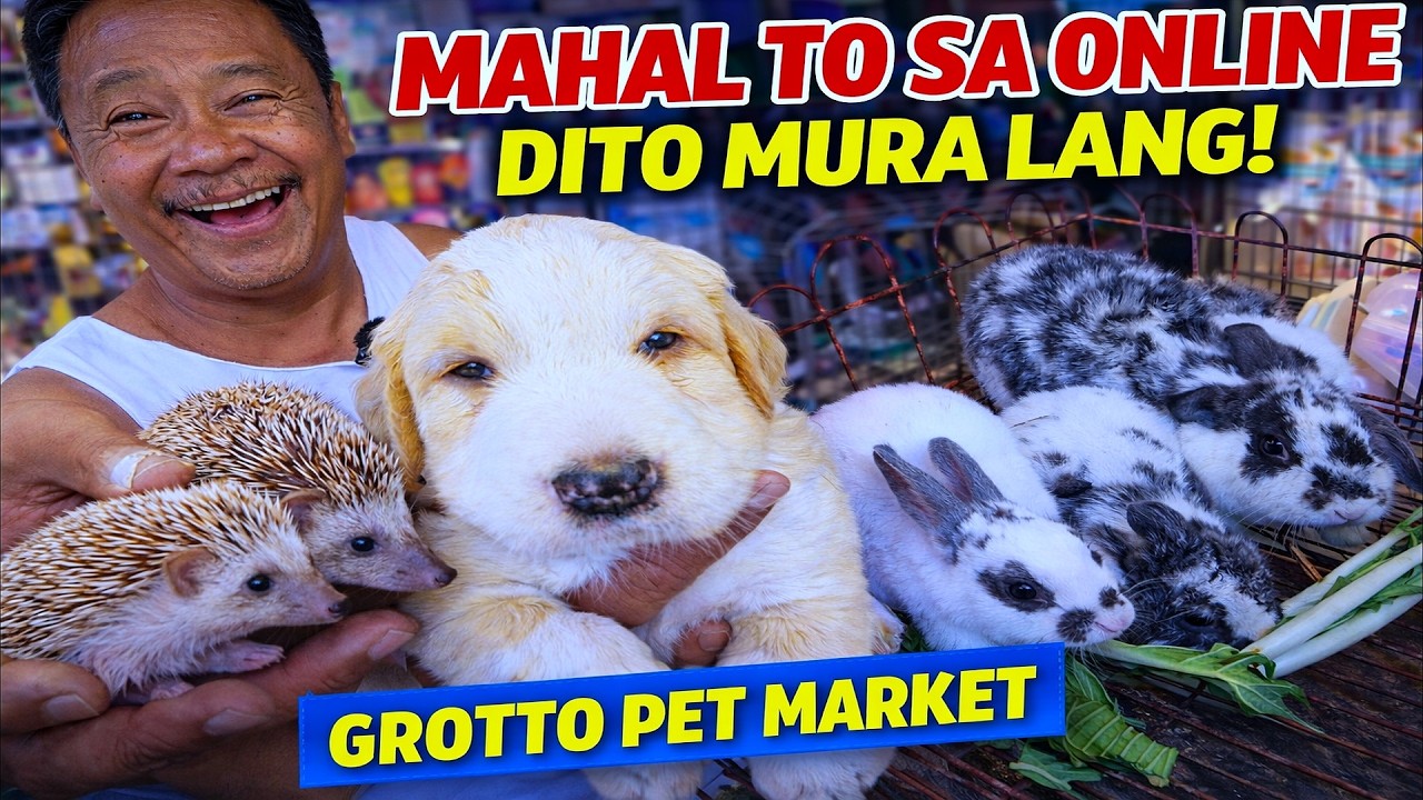 Mura Lang Pala to Dito! Sa ONLINE MAHAL!Grotto Pet Market Dogs, Fish and Birds