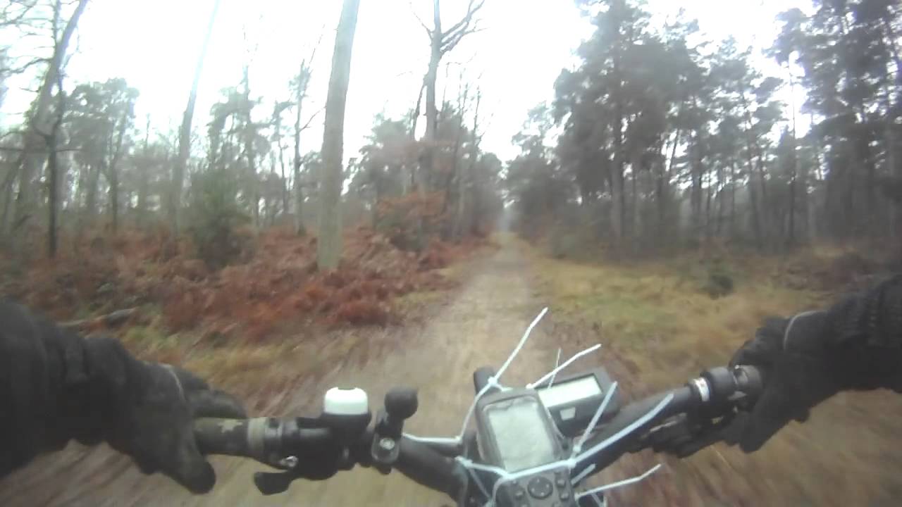 VTT Electrique FONTAINEBLEAU