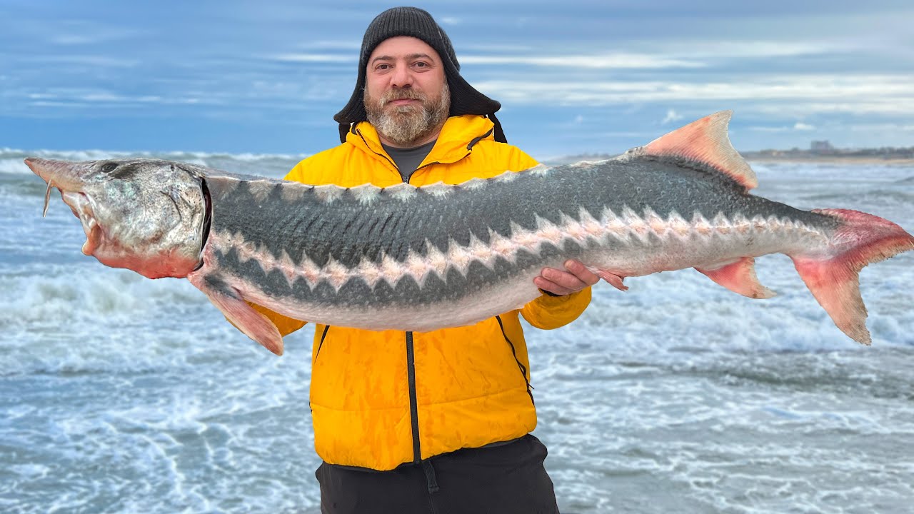 Cooking The Most Delicious Soup From Sturgeon Heads! Incredibly Filling And Full-bodied Taste