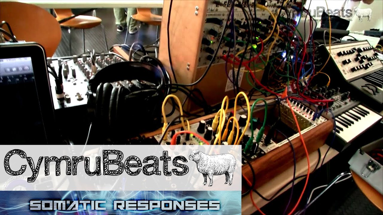 Somatic Responses Live Modular Rig