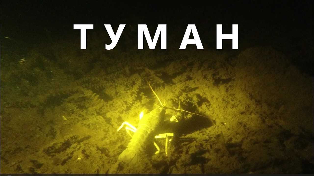 Туман