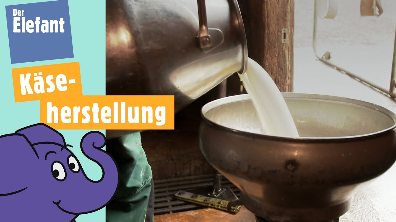 Teil 4 - Kuh Lena & ihre Herde - Aus Milch wird K&auml;se | Der Elefant |&nbsp;WDR
