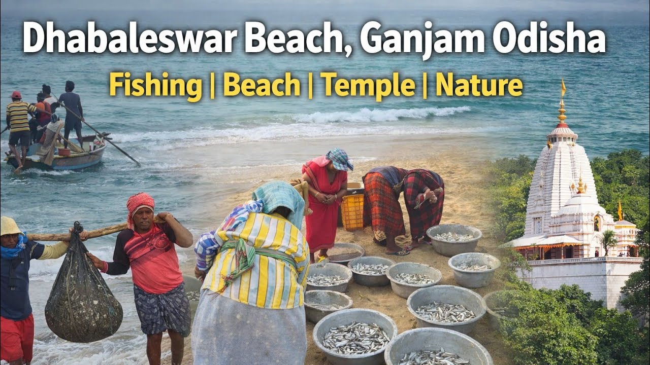 Dhabaleswar Beach | Ganjam Odisha | Live Fishing | #Odisha #viralvideo #fishing #beach 