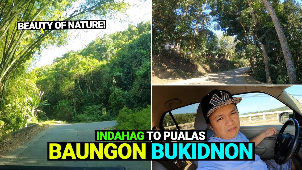 ROAD GOING TO ULTRA WINDS MOUNTAIN RESORT! Pualas, Baungon, Bukidnon