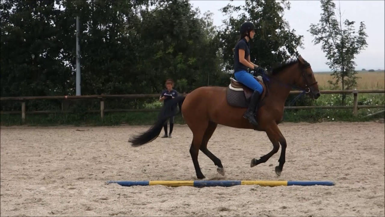 Passage du Galop 5