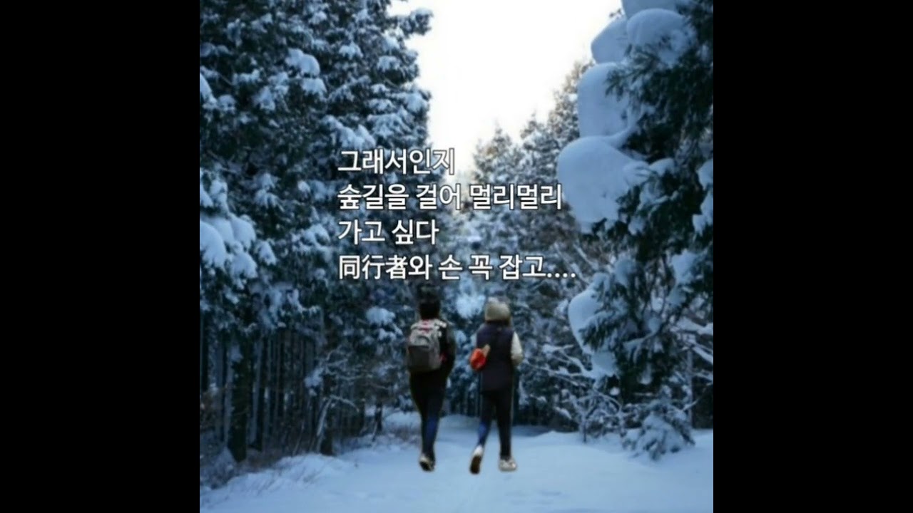 눈 덮힌 숲길