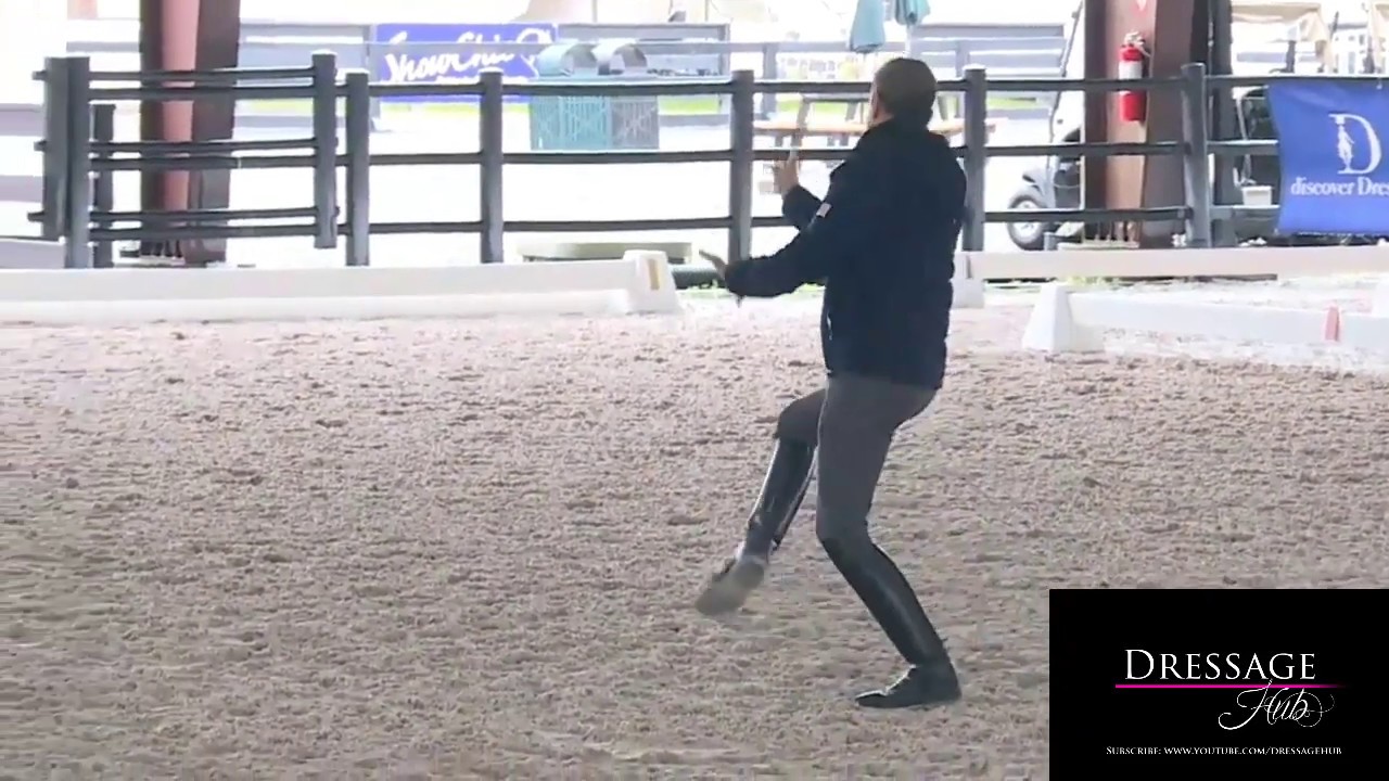 Robert Dover: Breaking Down the Effectiveness of The Aids in Dressage