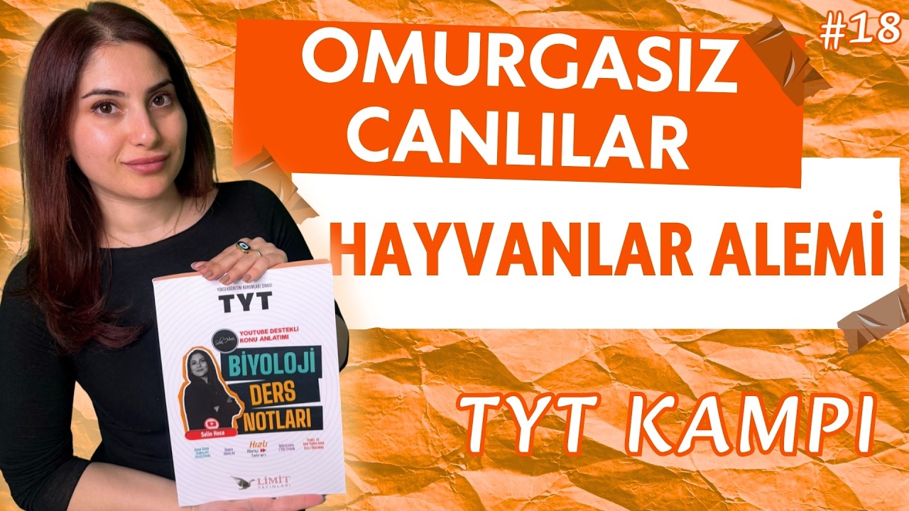 18) TYT 2026 BİYOLOJİ - OMURGASIZLAR - HAYVANLAR ALEMİ - ADIM ADIM ZİRVEYE