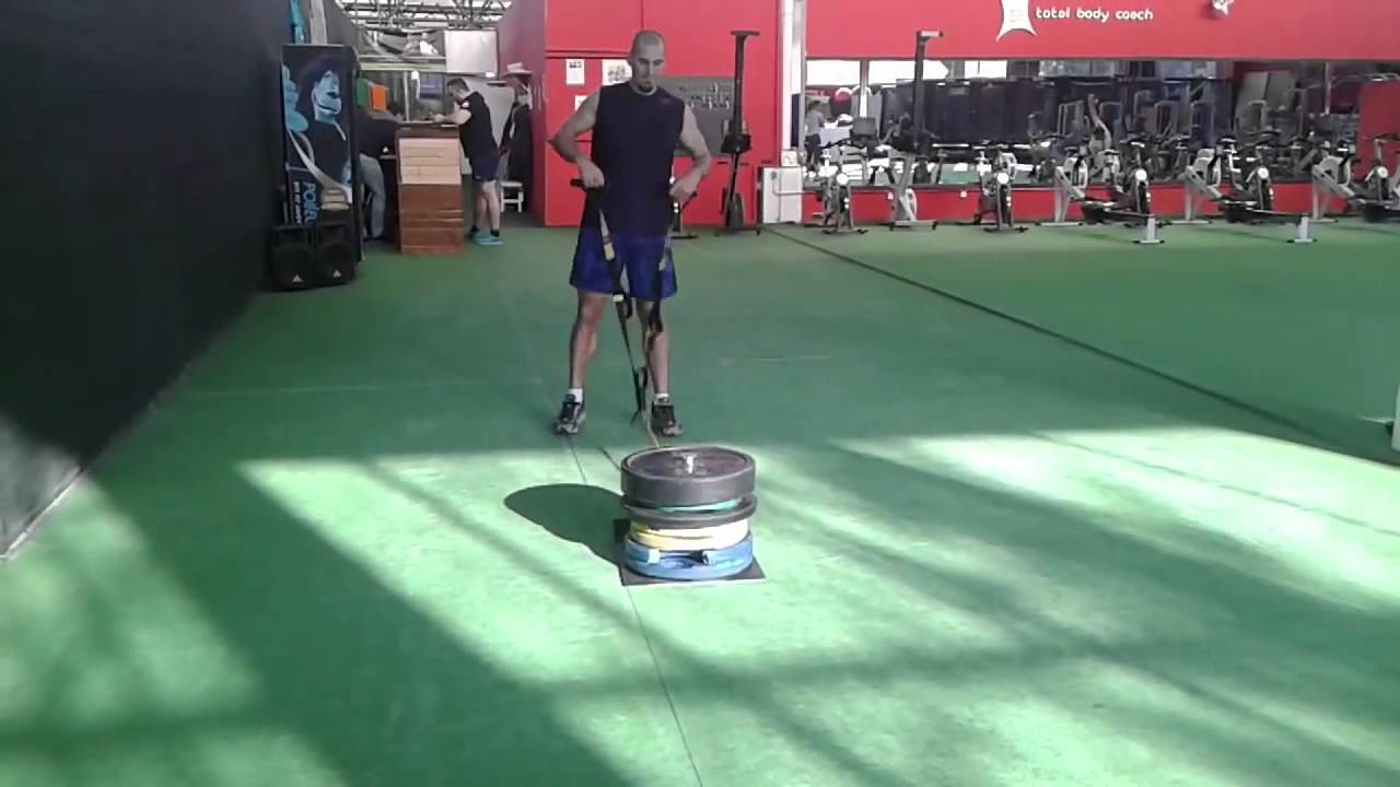 Sinković brothers, gym 2015.