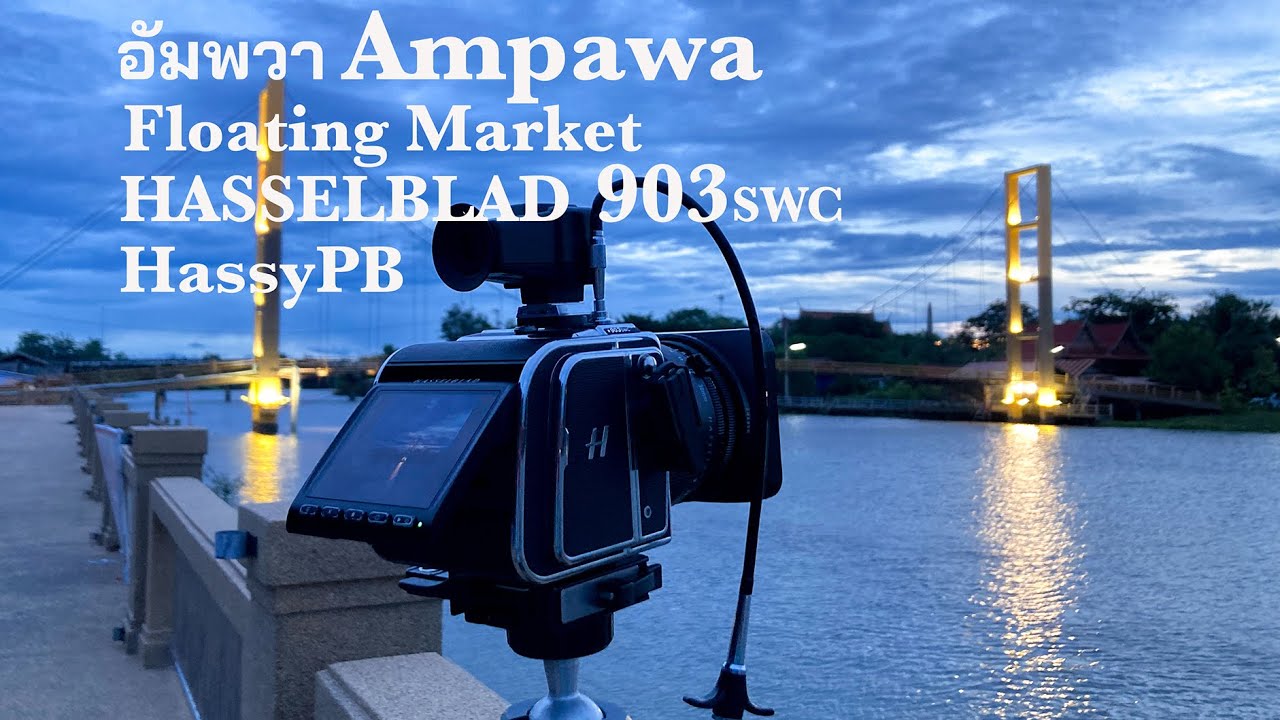 En: Thai : Hasselblad 903swc CFvii-50c Dback I 