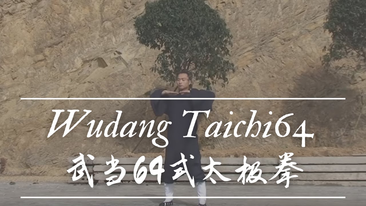 Wudang Taichi 64 武当64式太極拳（玄武派） Master Xu Gu 虚谷师父