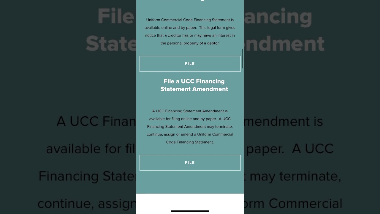 NYS DOS UCC 1 UPDATE