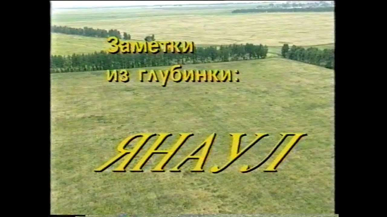 Заметки из глубинки: Янаул 1994 г.