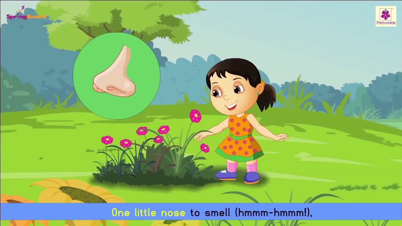 My Face | Nursery Rhymes For Kids | Periwinkle