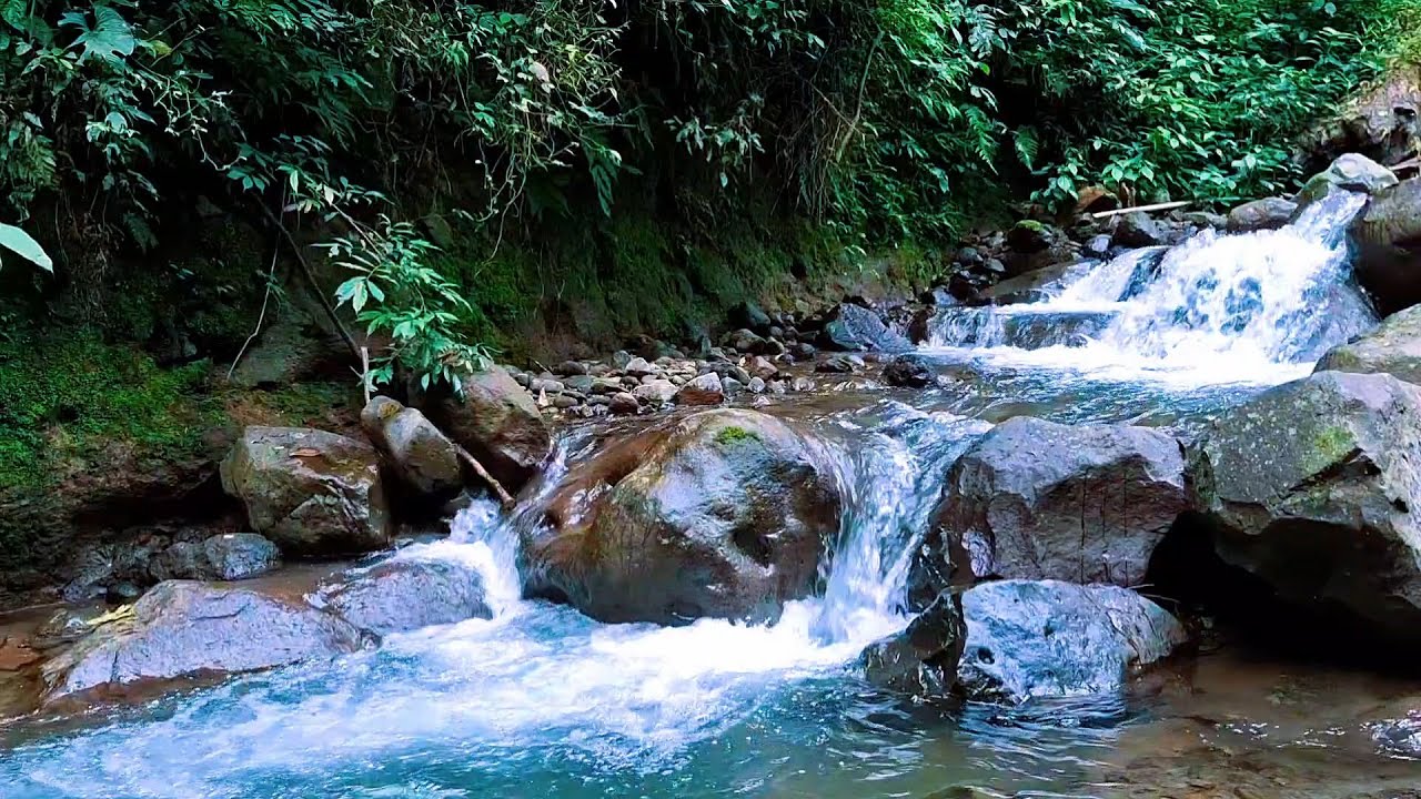 Natural River Ambience for Night Serenity