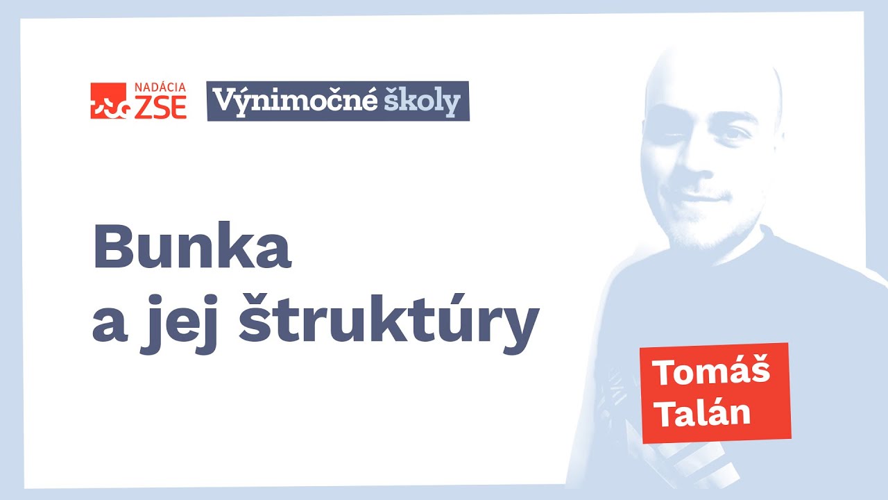 Bunka a jej štruktúry (Tomáš Talán)