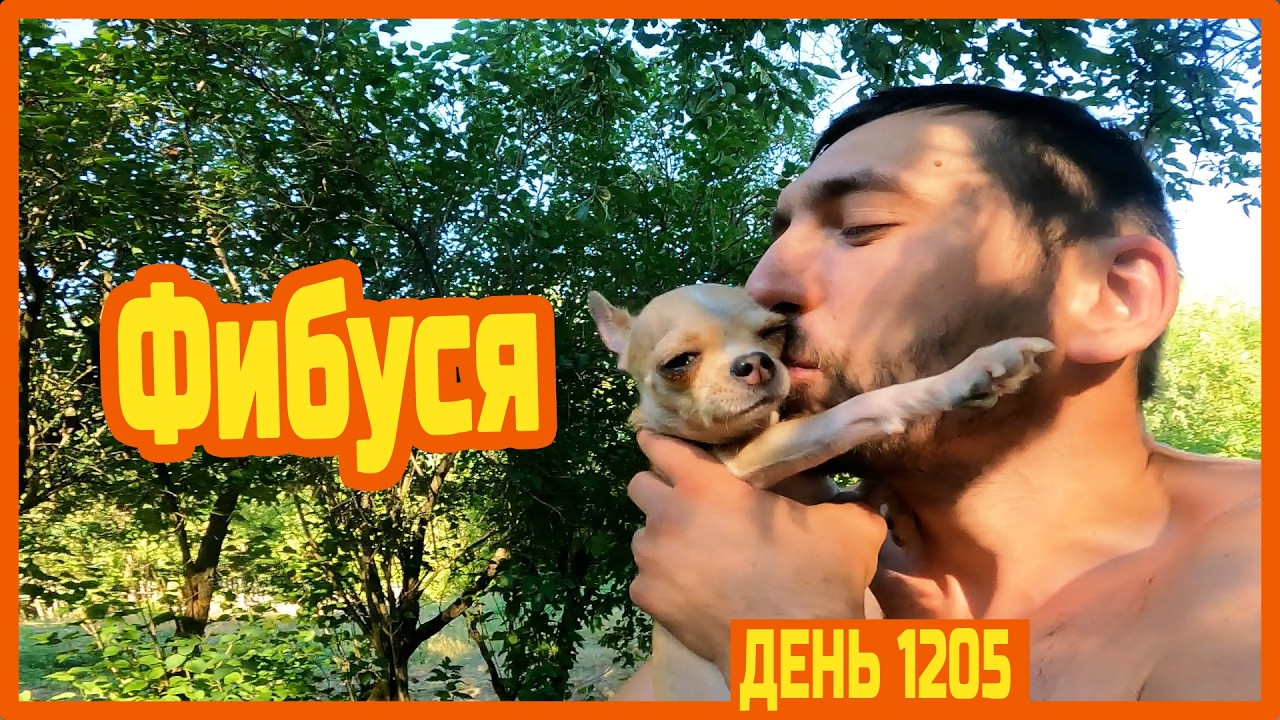 Супер завтрак. Мечу маток. Клип с Фиби. Покусали пчёлы. Полуночные пельмени — День 1205