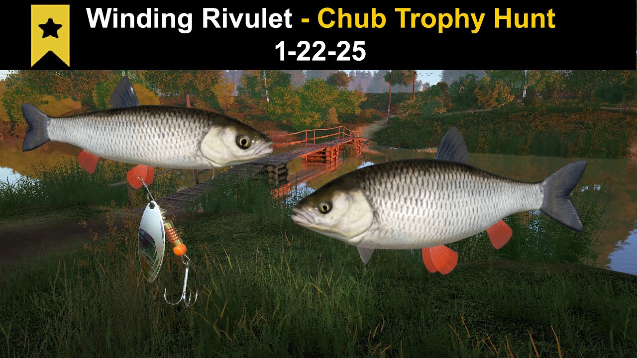 Russian Fishing 4,  Winding Rivulet - Chub Trophy Hunt 1-22-25 - (Chub Trophy)