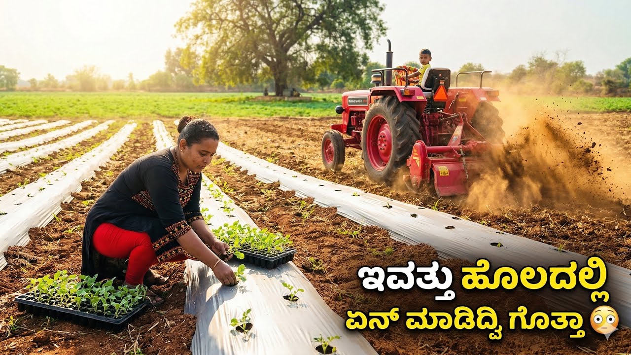 ಇವತ್ತು ಮತ್ತೊಂದು ಬೆಳೆಗೆ ಹೊಲ ರೆಡಿ ಮಾಡ್ಕೊಂಡ್ವಿ😍|vlog 2 new land preparation |