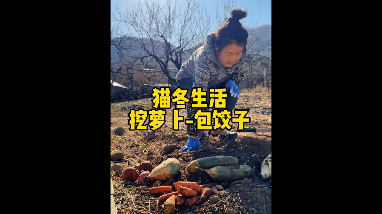 如果包饺子得先从挖掘学起，那么这项手艺到我这肯定失传！#我的乡村生活 #农村美食记录生活 #猫冬美食