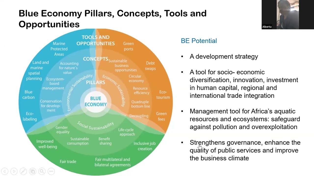 MODULE: THE BLUE ECONOMY AS A DRIVER OF SUSTAINABLE ECONOMIC DEVELOPMENT FOR AFRICA