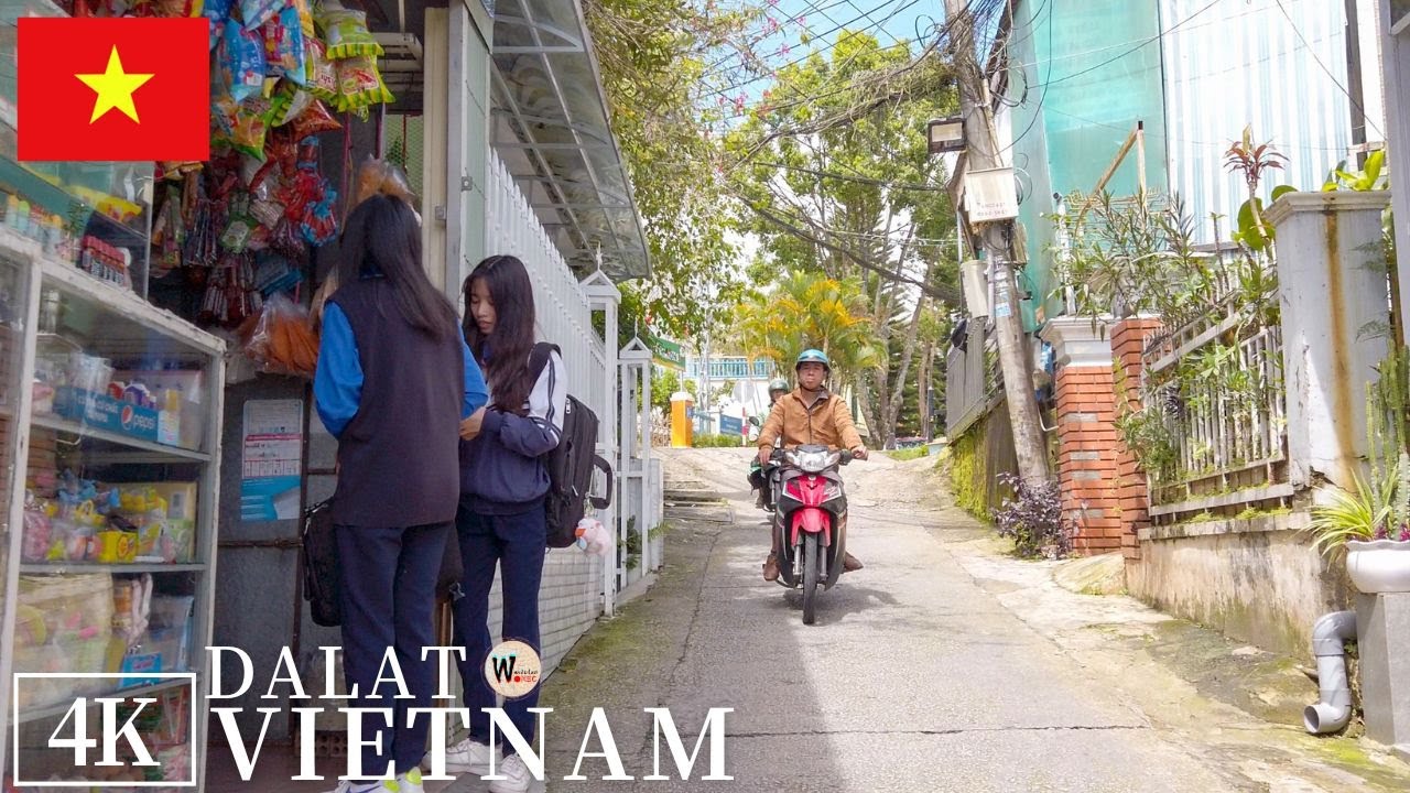 A Beautiful Day in Dalat - Vietnam Local Daily Life 4K 🇻🇳