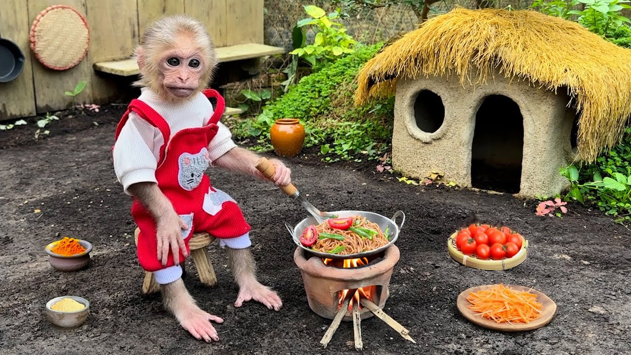 Monkey Xuka helps aunt harvest bell peppers to make stir-fried noodles for breakfast!
