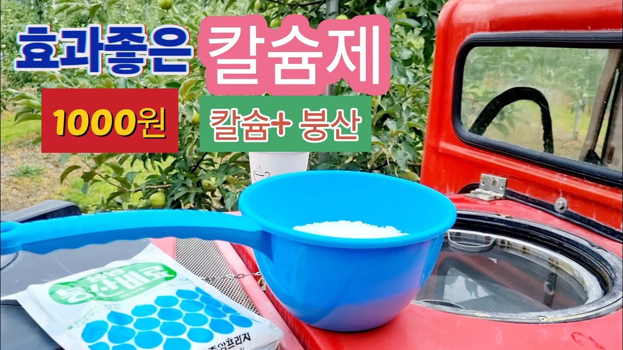 칼슘(Ca)+붕산+석회고토 갈반병 탄저병 예방1000원으로 고품질 농산물 수확하자