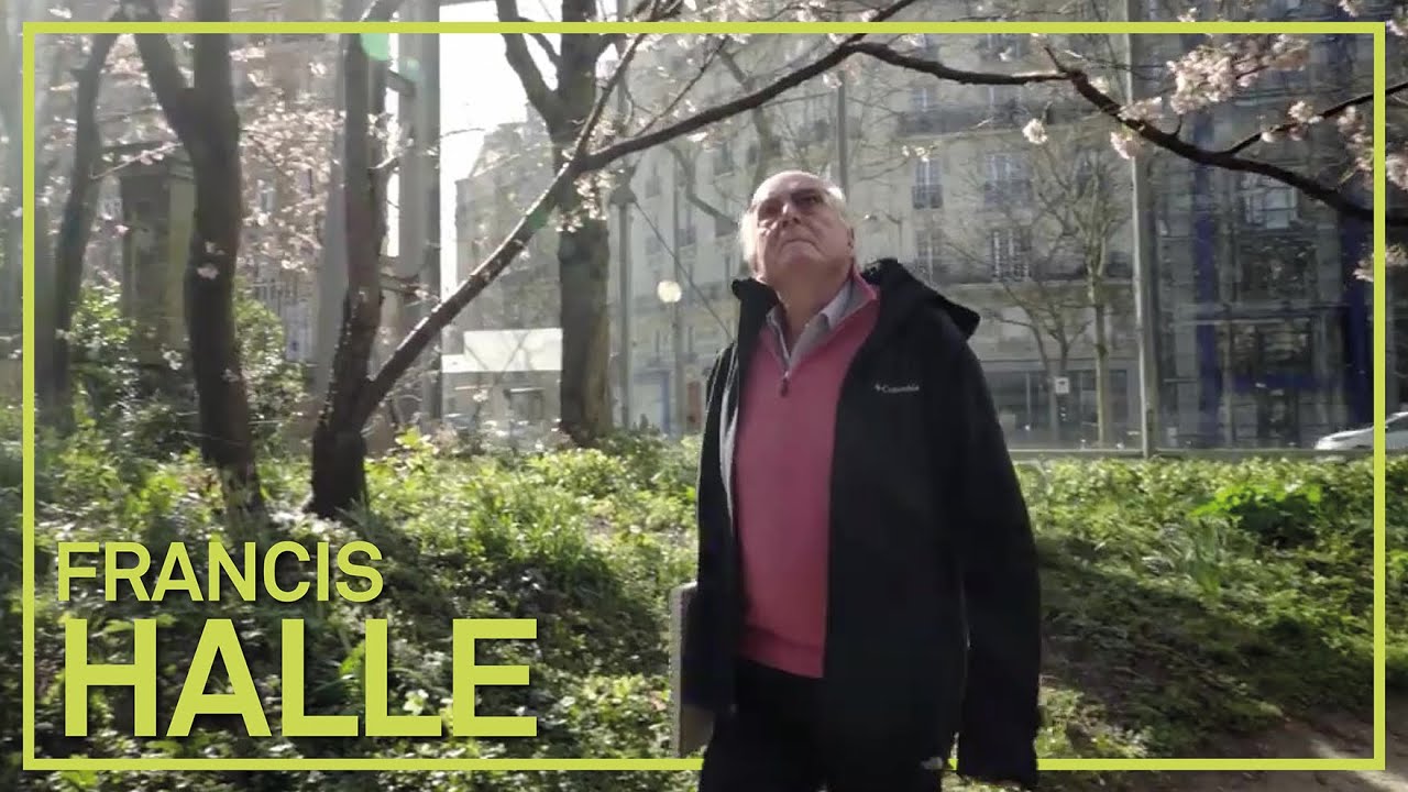 Francis Hallé - Web-série « Nous les Arbres » - Épisode 1/5