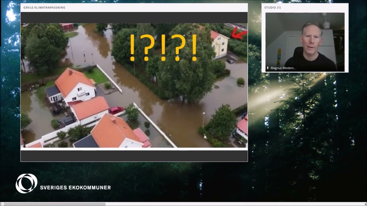 Webbinarium: Skyfallet i Gävle