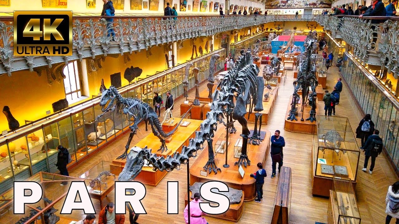 Paris France - French National Museum of Natural History - Paleontology and Comparative Anatomy