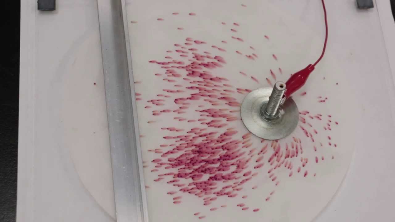 ELECTRIC FIELD Visualized with Crystals