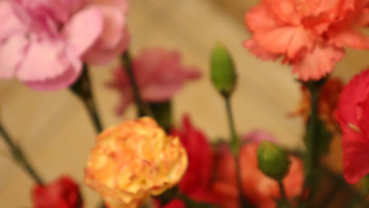 E113 Un nouveau chapitre va s'ouvrir // Conversations avec... ma maman | Intermediate French Podcast