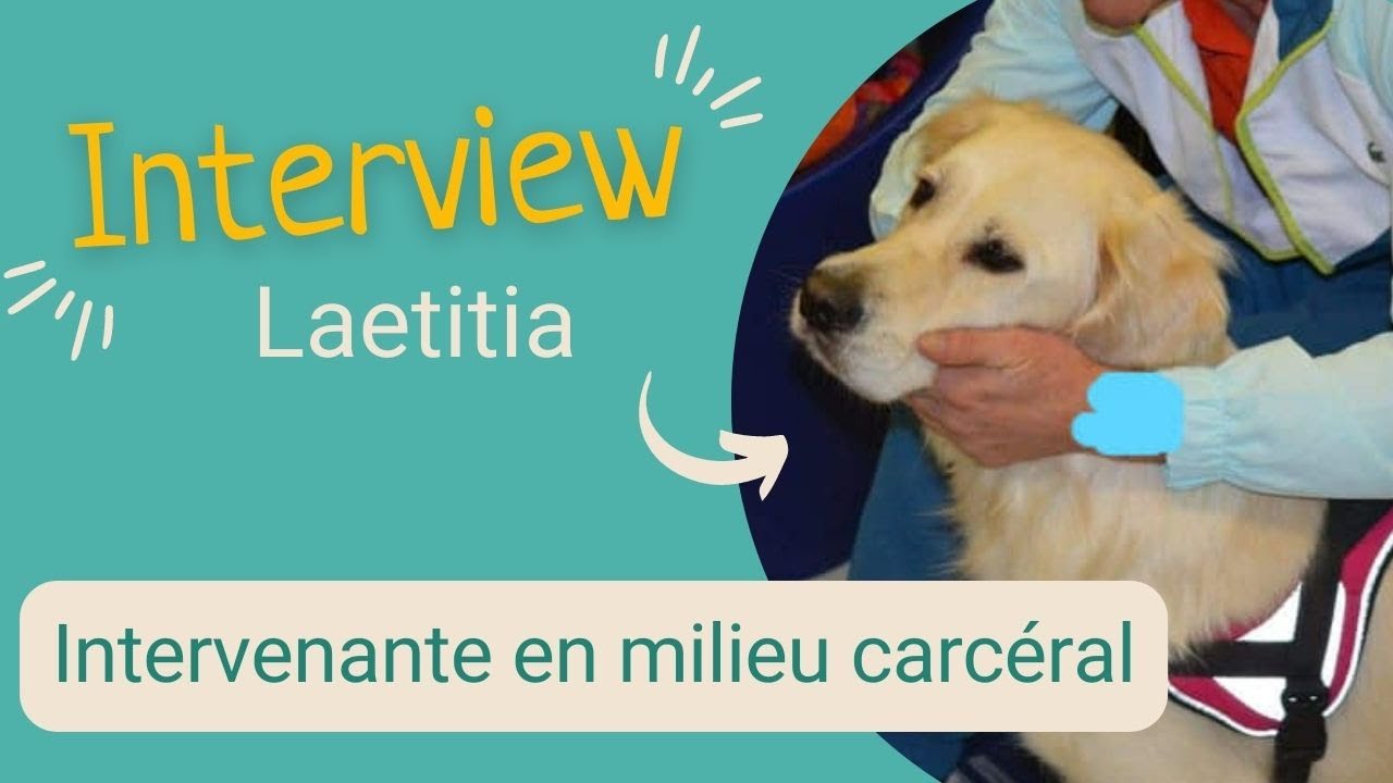Interview : la médiation animale en milieu carcéral