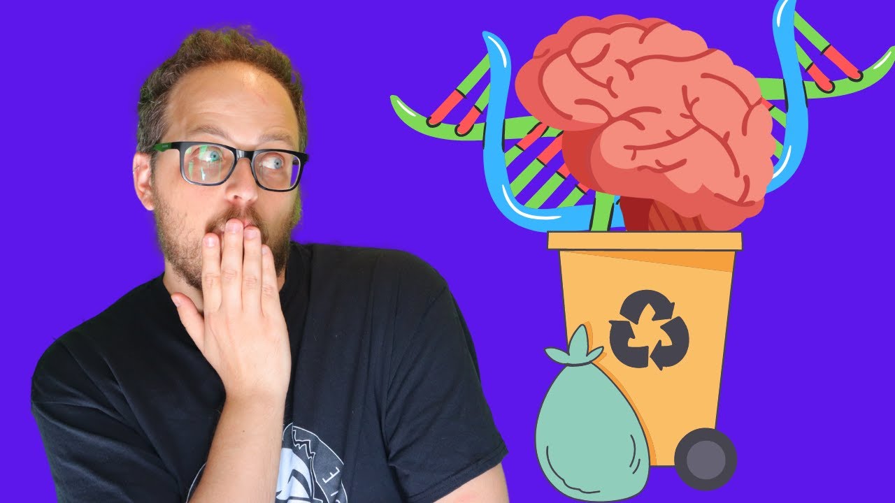 Il DNA INUTILE serve al CERVELLO per FUNZIONARE: parliamo di trasposoni e retrotrasposoni