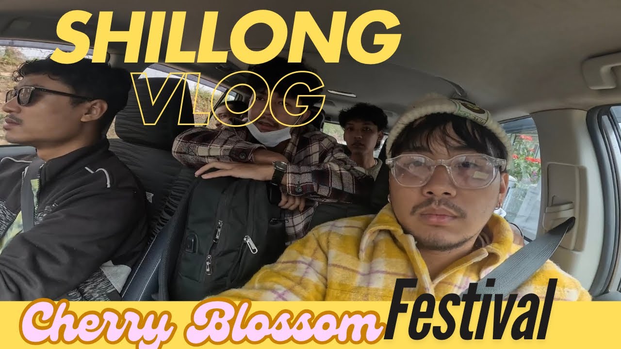 Shillong Cherry Blossom 🌸 festival | @kido_alph @RiozerTR @SnamRangsa
