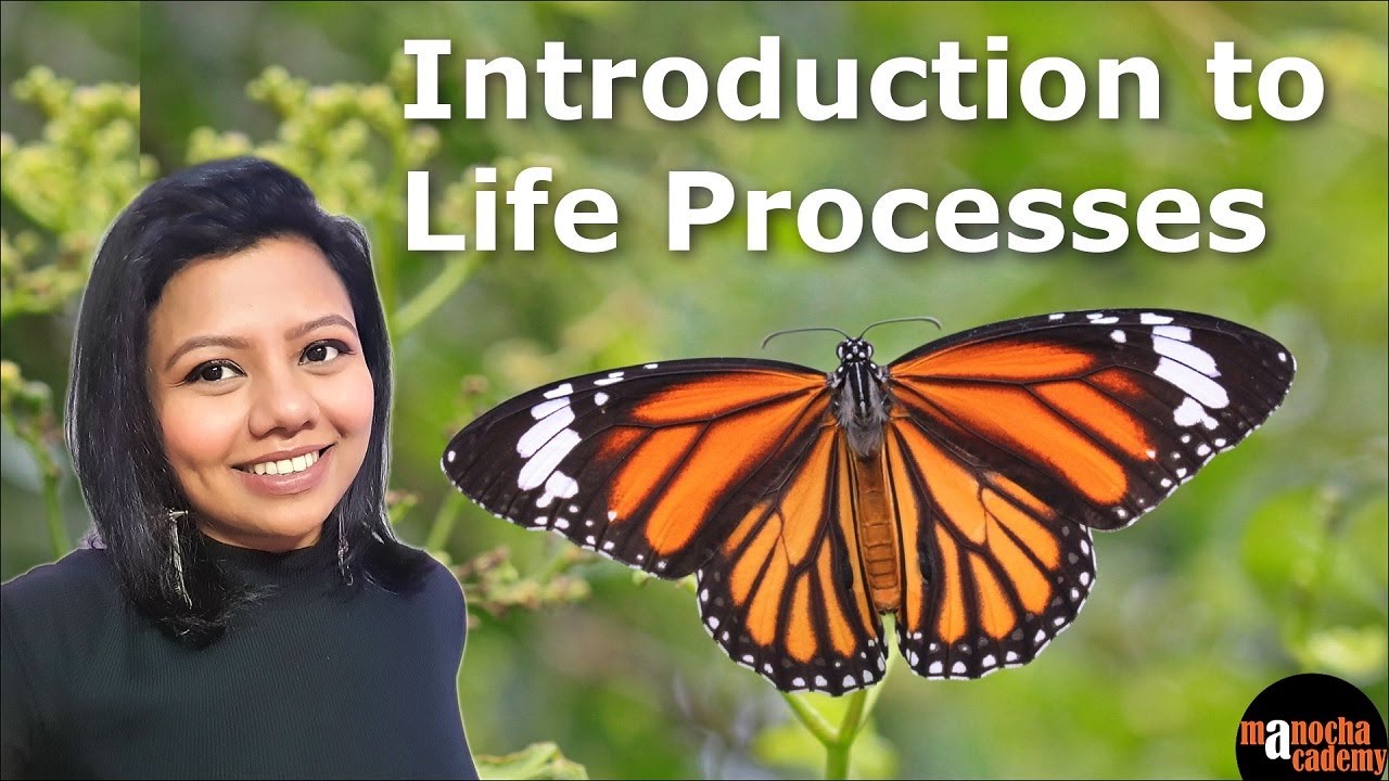 Life Processes Class 10 Science Biology