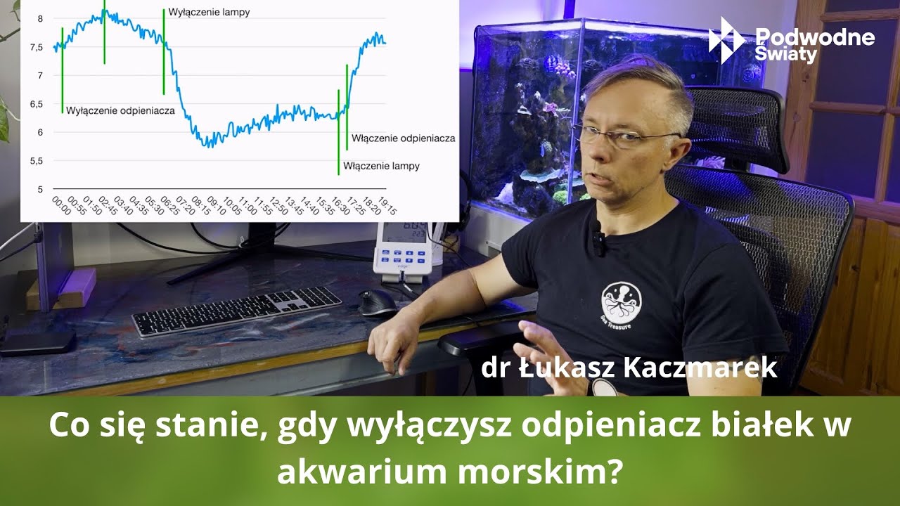 Co się stanie, gdy wyłączysz odpieniacz białek w akwarium morskim