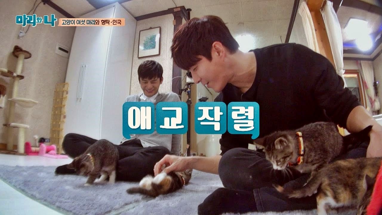 육냥이 클럽 오픈! 댄스타임에 인국&형탁 아빠 미소 마리와 나 7회