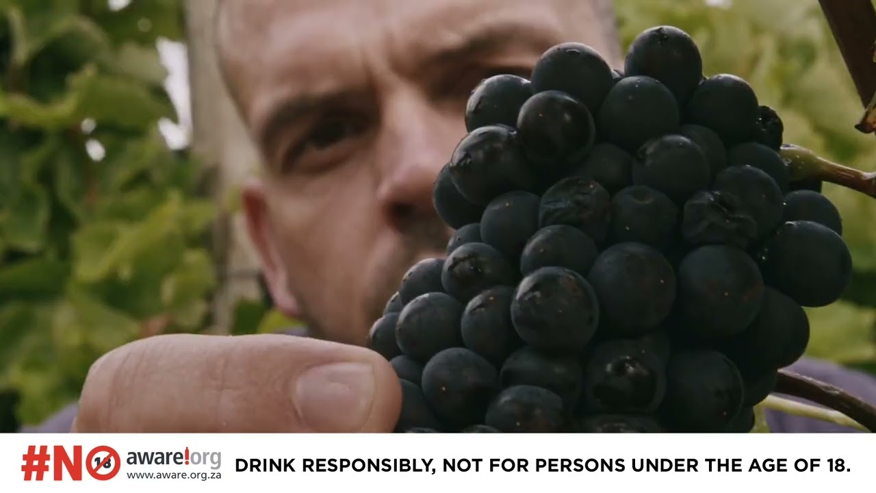 Boschendal Wines - Corporate Video