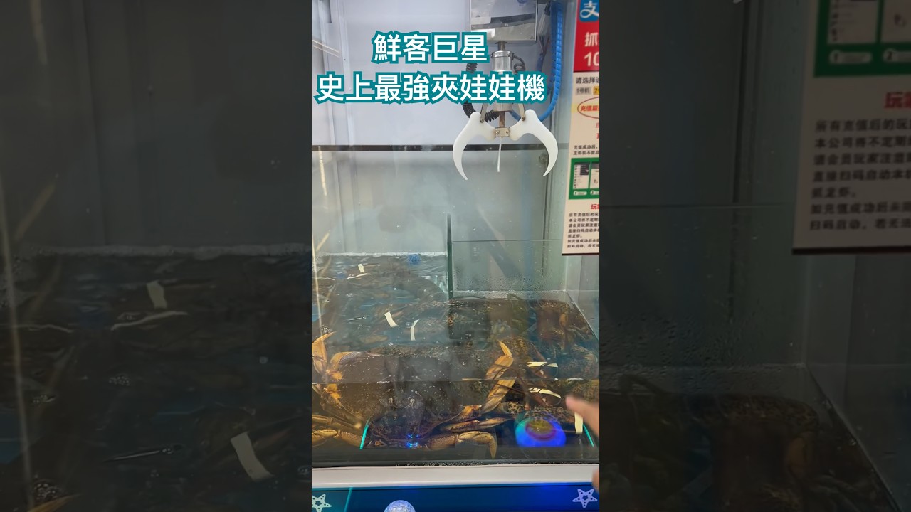 夾娃娃機神店#10元兩次#螃蟹龍蝦任你夾#夾娃娃機 #螃蟹 #龍蝦#常州環球港 #clawmachine#claw#lobster