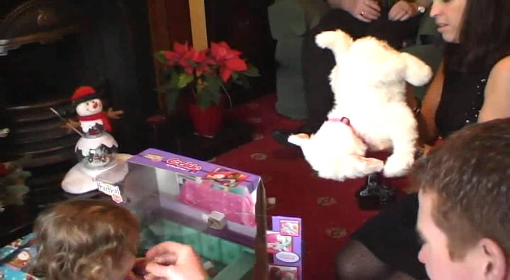176 Sarah 251211 - Xmas Day - Part 1 Opening Presents Cookie the Dog.mkv