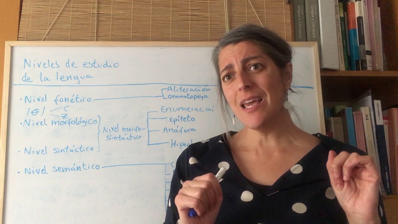 Píldoras de lingüística. Niveles de estudio de la lengua
